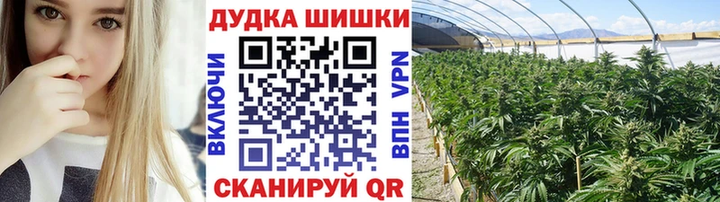 закладки  Салават  маркетплейс официальный сайт  Бошки Шишки SATIVA & INDICA 